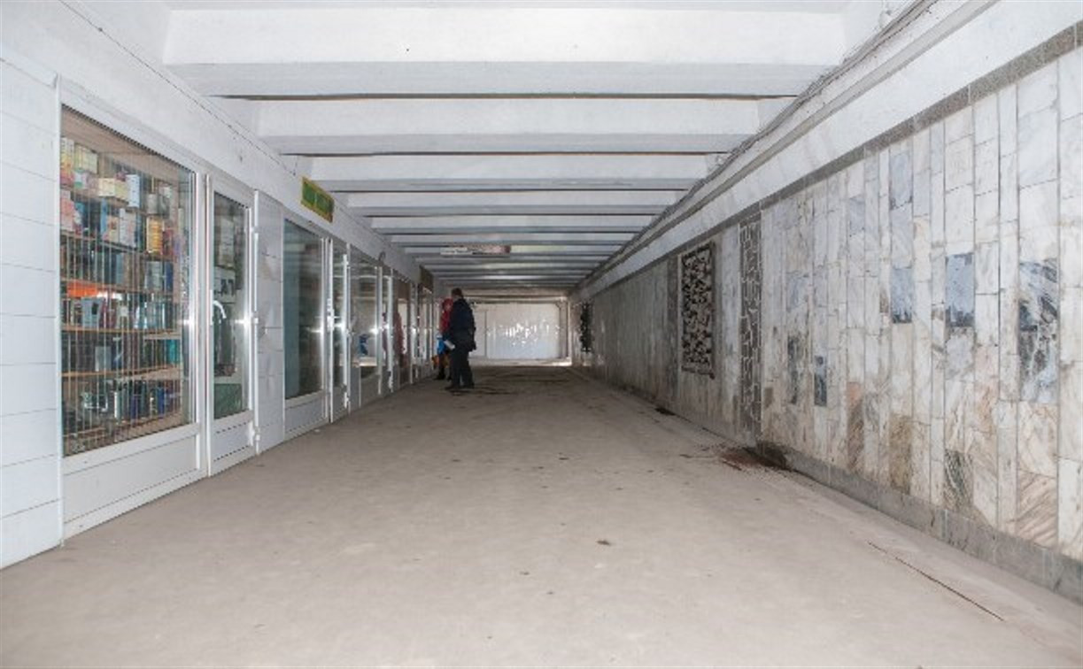 В Туле подземные переходы оснастят автоматическими электроподъемниками
