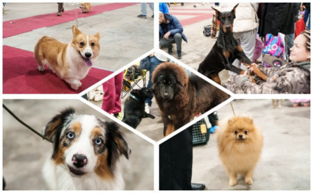 Жизнь Тулы и области