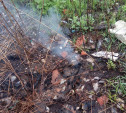Жители о свалке под Тулой: «Земля чем-то пропитана и всё время горит!»