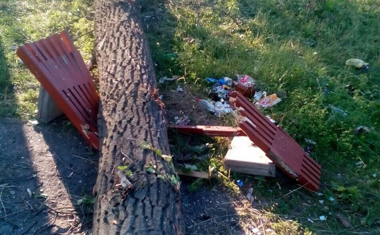 В сквере в Донском спиленные подрядчиком деревья сломали детскую площадку и лавки