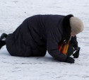 В Криволучье пенсионерка упала на льду и сломала ногу