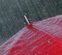 Погода в Туле 24 августа: похолодание, дождь и ветер