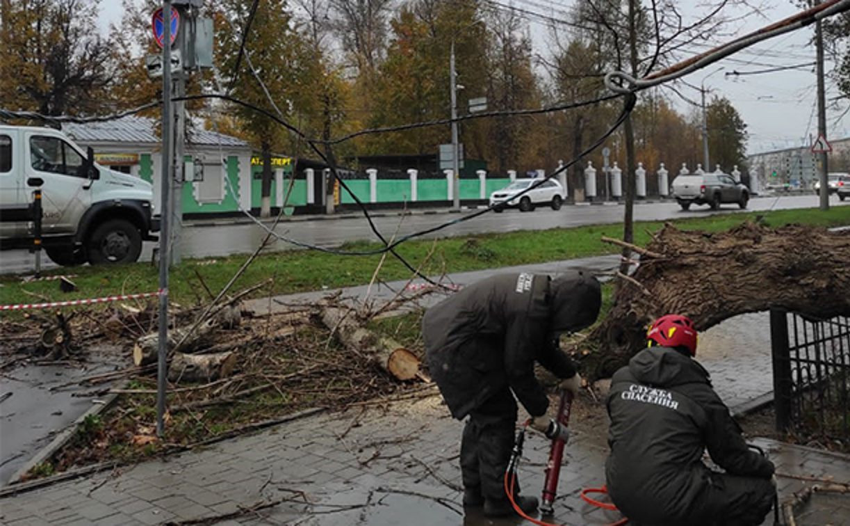 В Туле возле школы на ул. Токарева упало дерево и задело провода