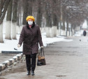 Свиной грипп зафиксировали во всех регионах России 