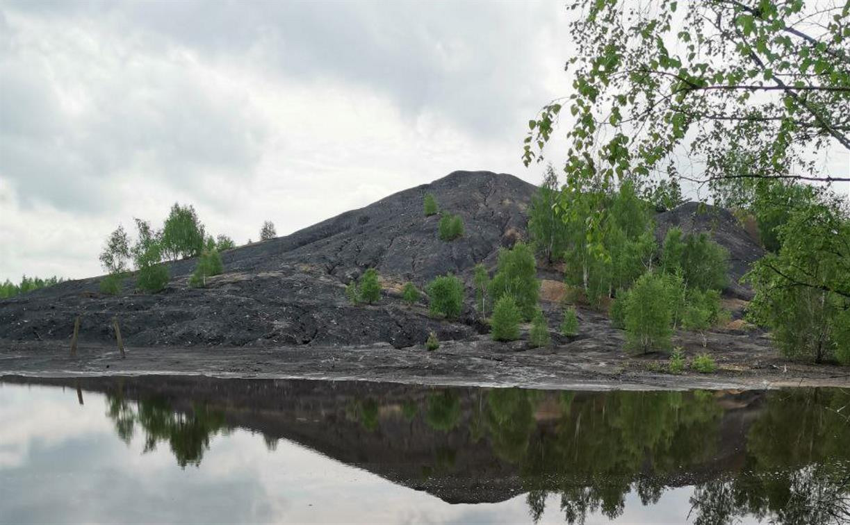 В Тульской области возле угольной шахты хотят построить отель с видом на террикон