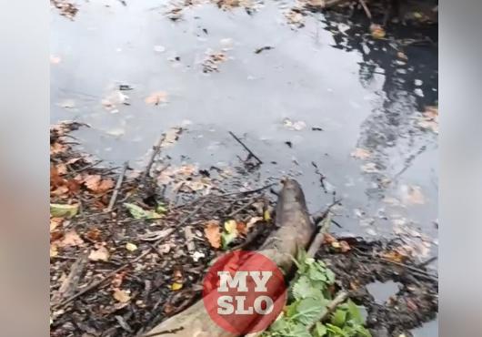 «Вонь дичайшая!»: туляк пожаловался на канализационный ручей в селе Федоровка