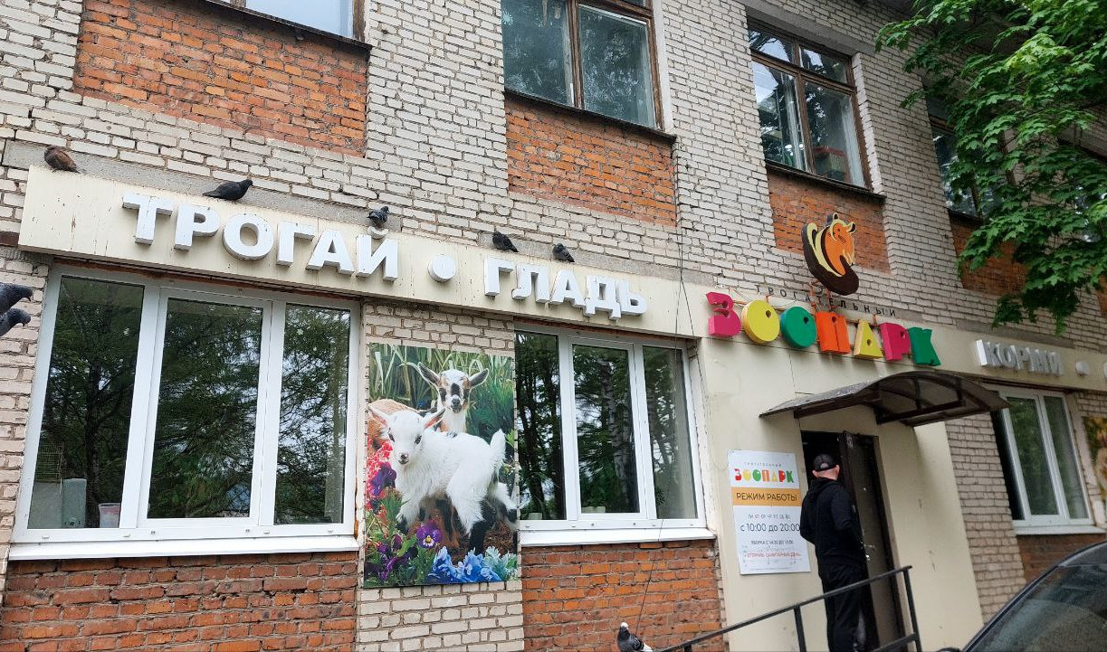 Вонь, нечистоты и опарыши: как на самом деле содержат животных «Трогательного зоопарка»