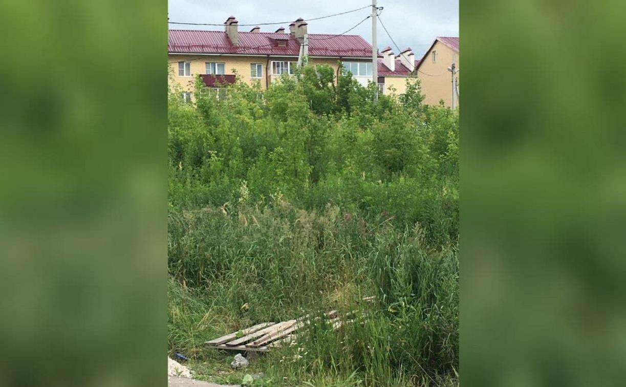 Туляки: «Неработающая канализация в ЖК «Скуратовский» уже 4 года льется в пруд»