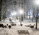Ночью в Туле ожидаются 13-градусные морозы