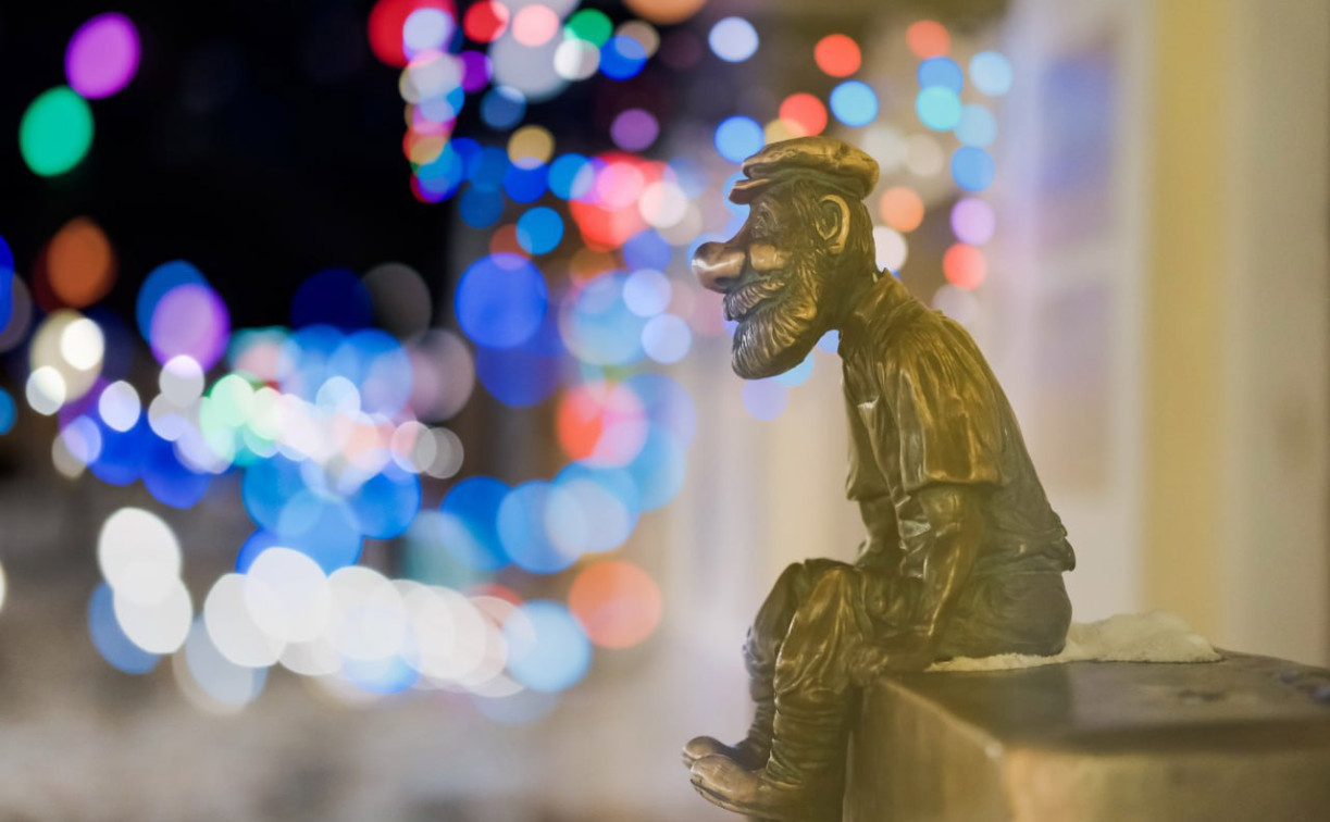 В Тульской облдуме предложили сократить новогодние расходы на елки и катки