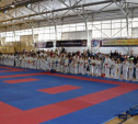 В Туле прошел открытый турнир по каратэ WKU