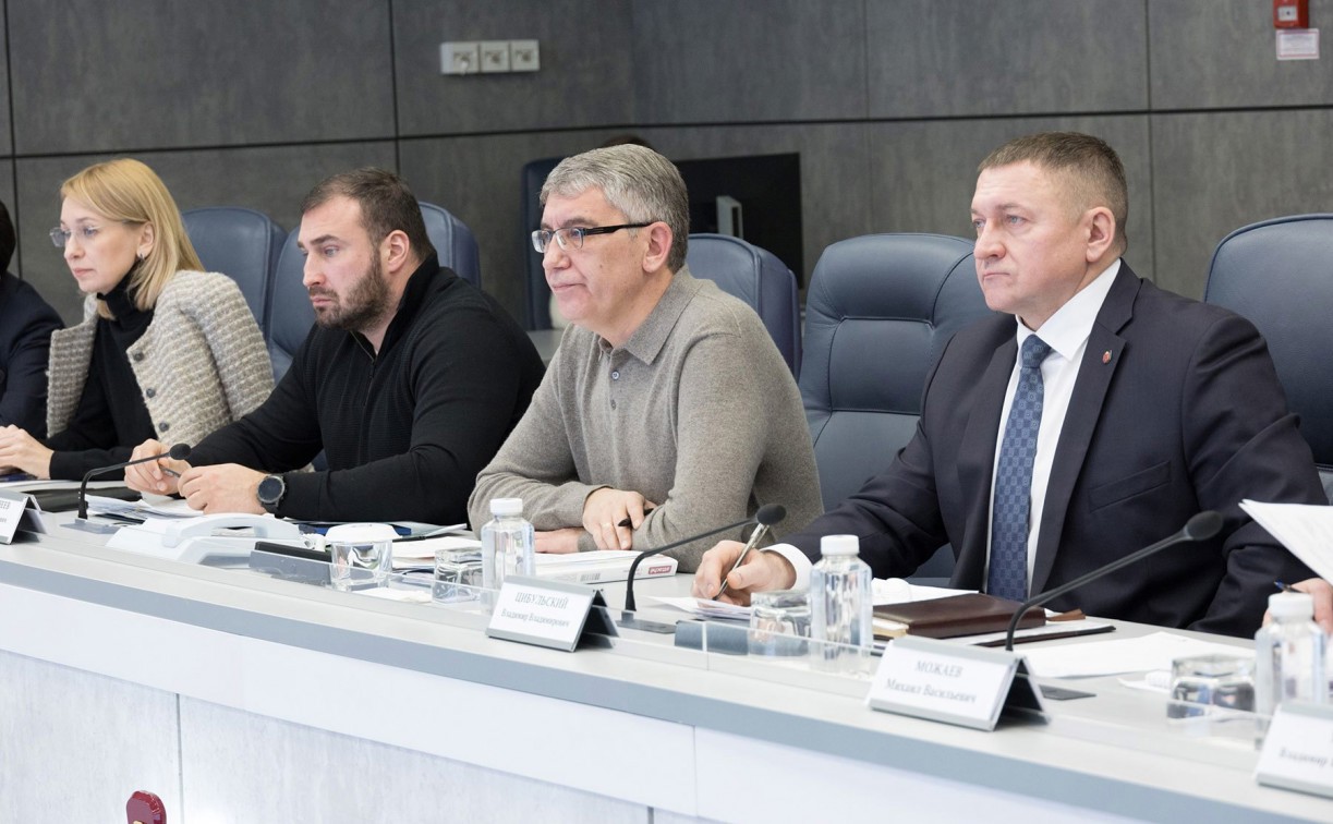 Дмитрий Миляев: «Снегопад работает быстрее нас. Надо брать пример с природы»