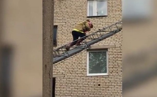 Как спасали выпавшую из окна девочку в Алексине: видео