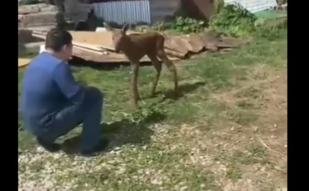 Жизнь Тулы и области