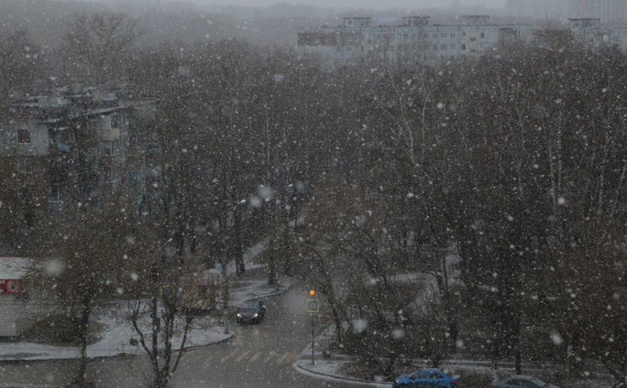 Порывы ветра, гололедица: ГАИ предупреждает водителей о непогоде в выходные