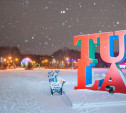 Погода в Туле на 29 декабря: небольшой морозец и снег