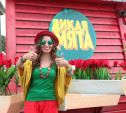 В Тульской области фестивали «Дикая Мята» и Толстой Weekend пройдут в один день