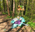 Туляк: Щегловская засека зарастает мусором