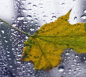 Погода в Туле 14 ноября: облачно, дождливо, до 8 градусов тепла