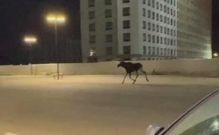 Жизнь Тулы и области