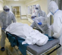 Страшная статистика: в России установлен новый суточный рекорд смертей от коронавируса