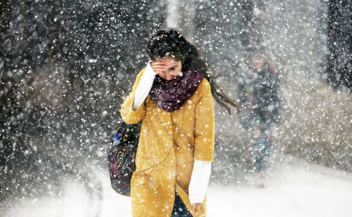 Погода в Туле 31 декабря: метель, мокрый снег и порывистый ветер
