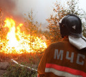В Тульской области сохраняется 4 класс пожарной опасности