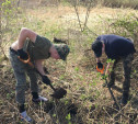 В Белевском районе поисковики нашли останки девяти красноармейцев