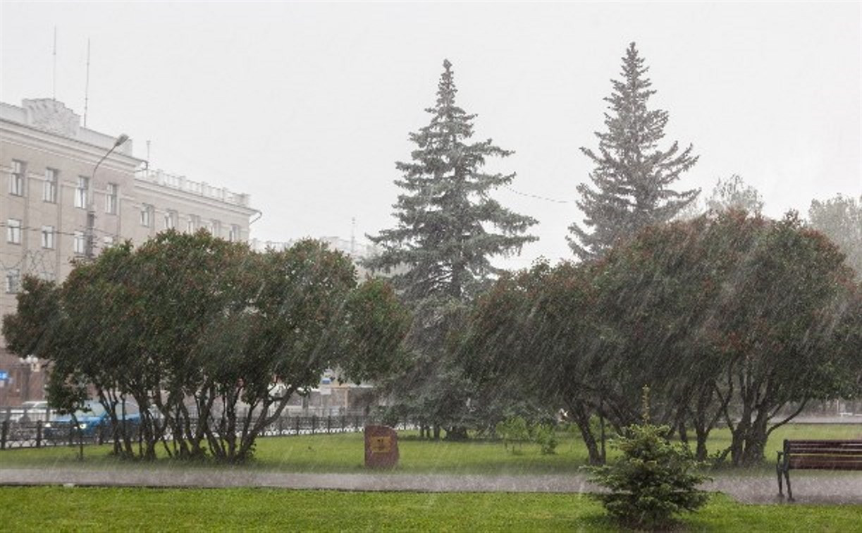 Погода в Туле 31 июля: дождь и гроза