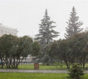 Погода в Туле 31 июля: дождь и гроза