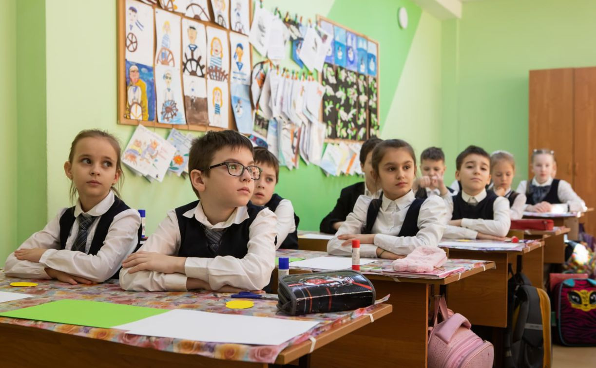 В ряде школ Тульской области могут на два дня ввести дистанционное обучение