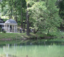 В Платоновском парке Тулы восстанавливают каскадные пруды