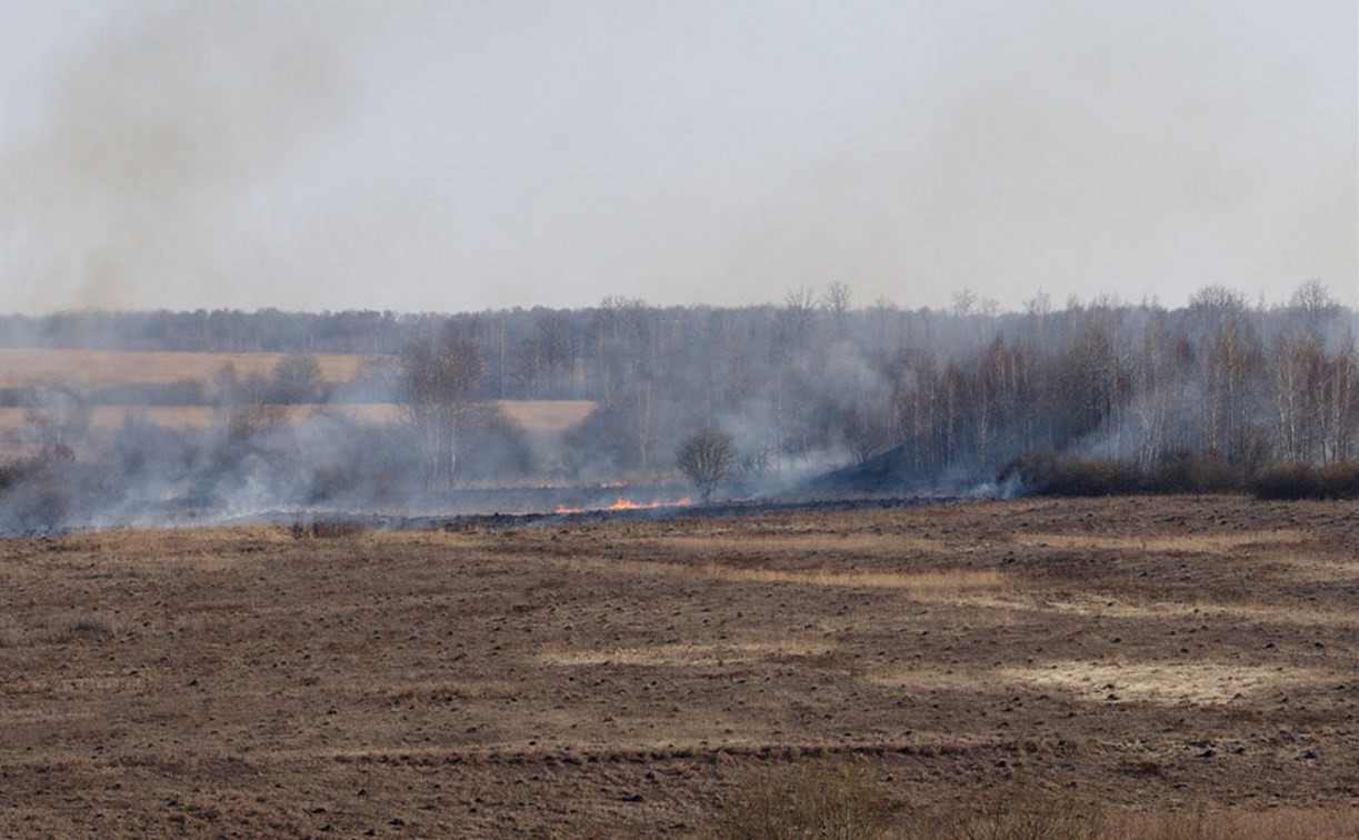 Тульские пожарные совершили 476 выездов на тушение сухой травы