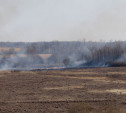 Тульские пожарные совершили 476 выездов на тушение сухой травы