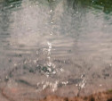 За время купального сезона в Тульской области утонули 16 человек 