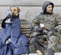 Российских ритейлеров могут обязать отдавать непроданную еду бездомным 