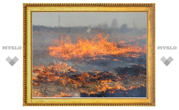 Огонь подбирается к деревне Языково