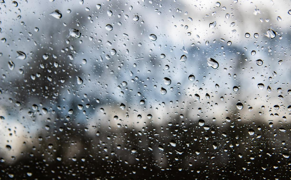 Погода в Туле 8 ноября: дождливо и ветрено