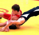 Тульские борцы завоевали пять медалей в Подмосковье