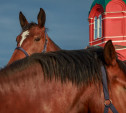 «Конь педальный», Пегас и кинолошадь: в музее «Тульские древности» открывается новая выставка