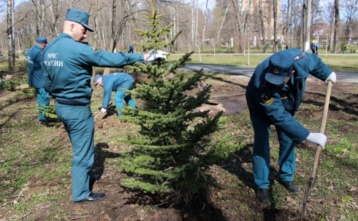 Спасатели посадили деревья в Центральном парке Тулы