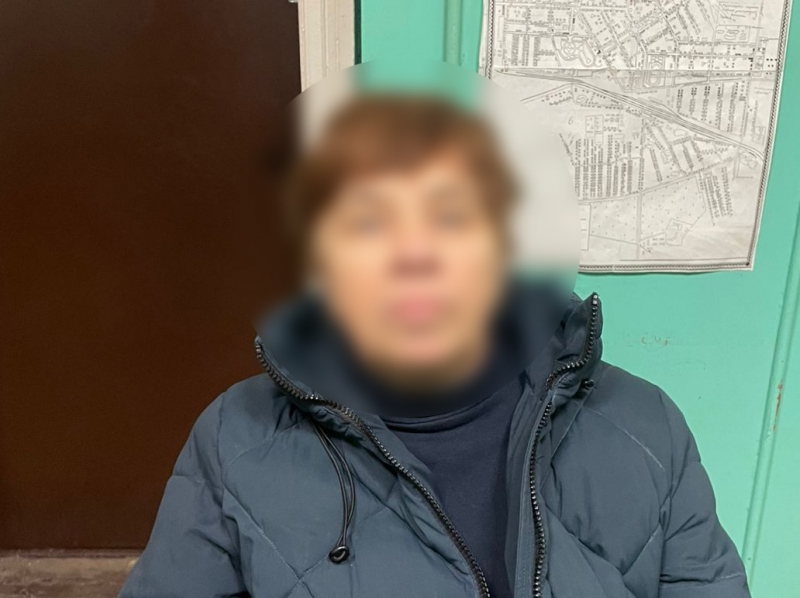 В Кимовске суд огласил приговор пенсионерке за фейерверк в банке