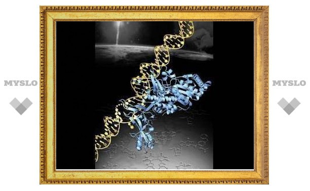 Биологи опровергли существование "темной материи" из РНК