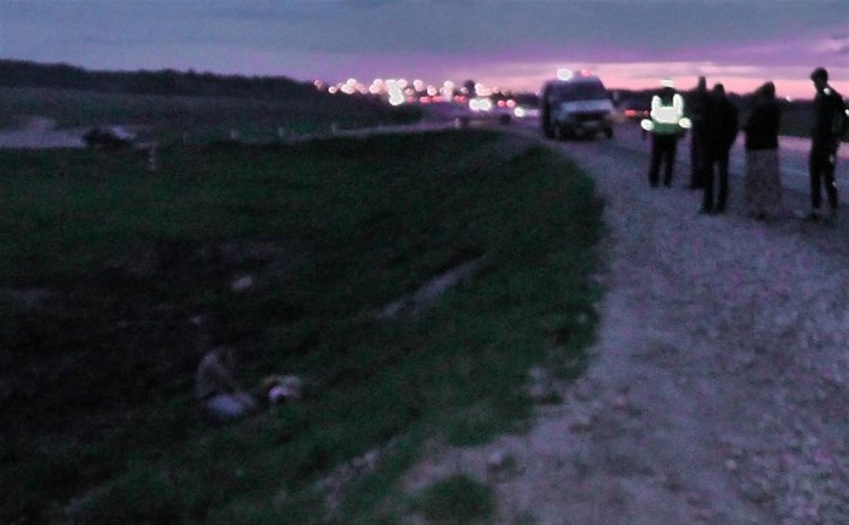 Под Тулой водитель «Киа» насмерть сбил 70-летнюю женщину