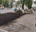 Для благоустройства газонов на проспект Ленина завозят чернозем