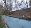 Река Рогожня в Туле стала сказочно молочной