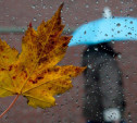 Погода в Туле 7 октября: облачно, прохладно, небольшой дождь
