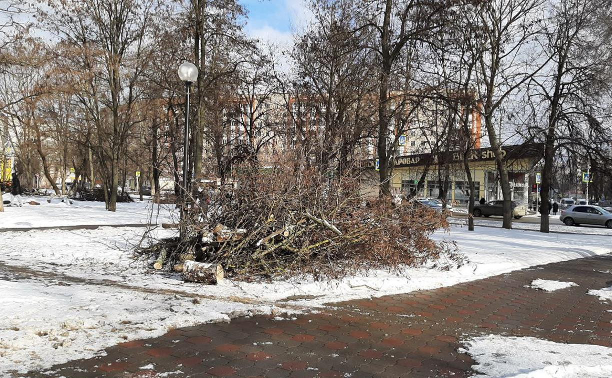 В сквере на ул. Оборонной спилили деревья: весной на их месте высадят новые 