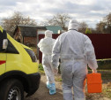 За сутки в Тульской области выявлено 263 случая коронавируса, 13 пациентов скончались