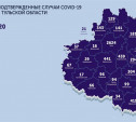 В каких городах Тульской области зарегистрирован коронавирус: карта на 30 июня